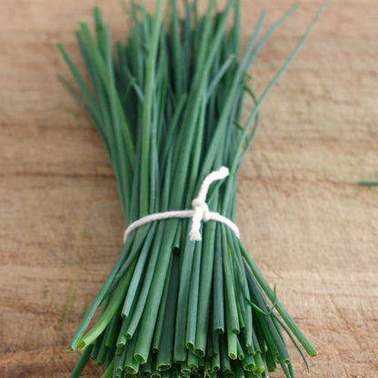 Piccolo Seeds - Chives Fine Leaf