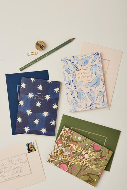 Blue Robin Seasons Greetings Christmas Card