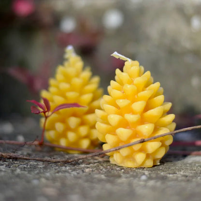 Beeswax Pinecone Fircone Candles