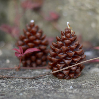 Beeswax Pinecone Fircone Candles