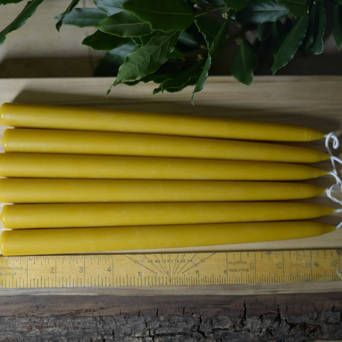 Beeswax Hand Dipped Candles Dinner Tapers 12" 12 Hour Burn Time