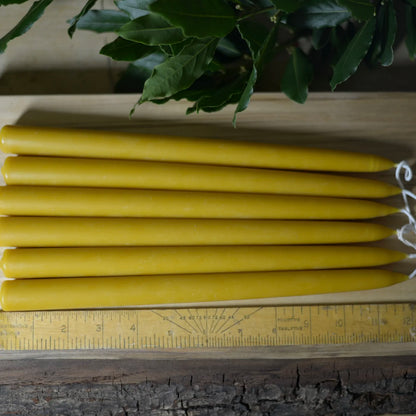 Beeswax Hand Dipped Candles Dinner Tapers 12" 12 Hour Burn Time
