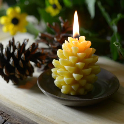Beeswax Hand Dipped Birthday Cake & Celebration Church Taper Candles, Bundle of 10
