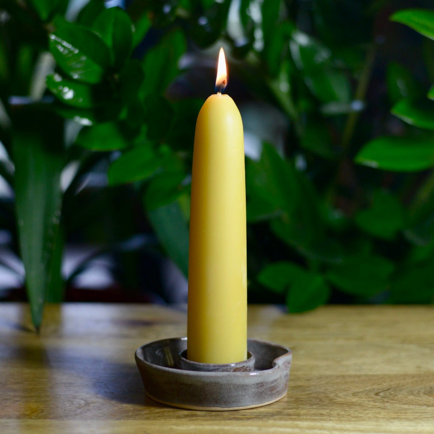 Beeswax Pine Tree Christmas Candles
