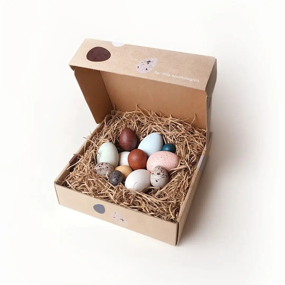 A Dozen Birds Eggs in a box