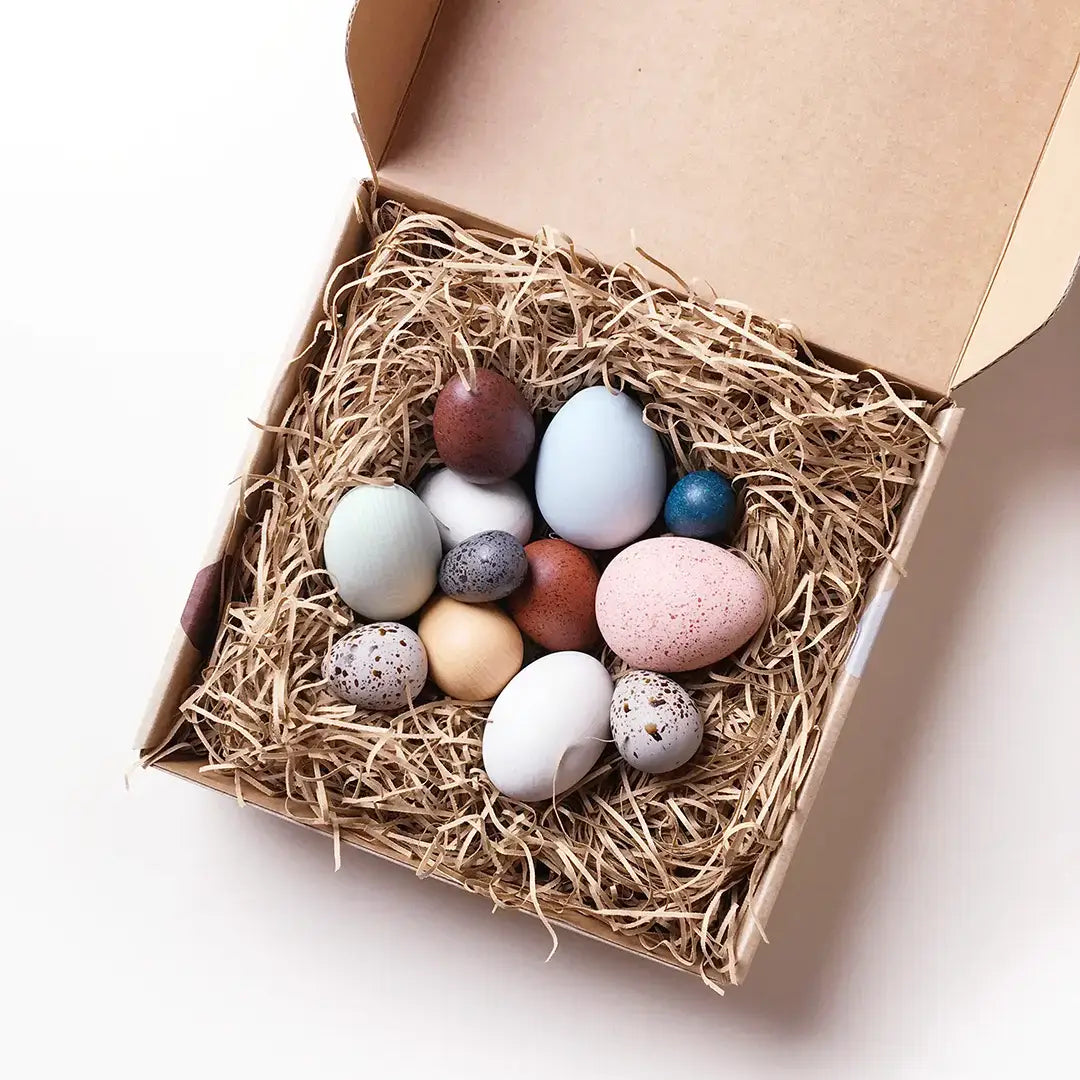 A Dozen Birds Eggs in a box
