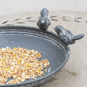 Bird Bath Feeder With Feet