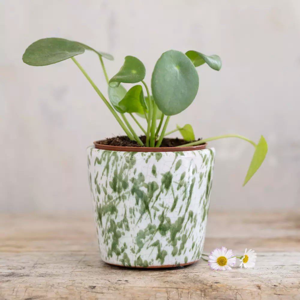 Mini Green Splatter Old Style Dutch Plant Pot