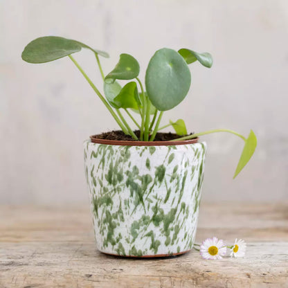 Mini Green Splatter Old Style Dutch Plant Pot