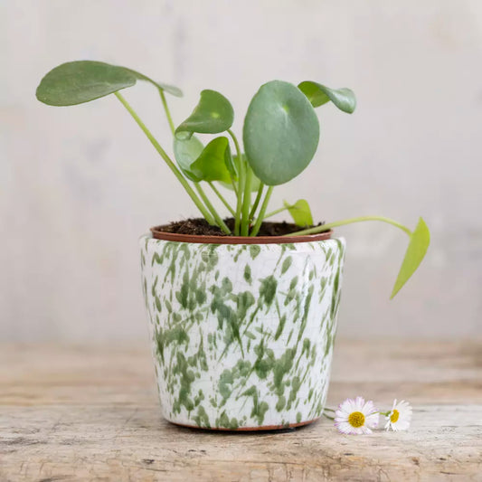 Mini Green Splatter Old Style Dutch Plant Pot