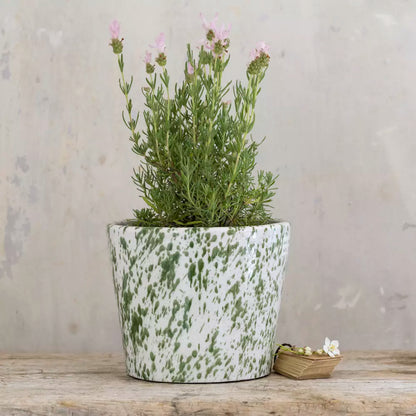 Medium Green Splatter Old Style Dutch Plant Pot