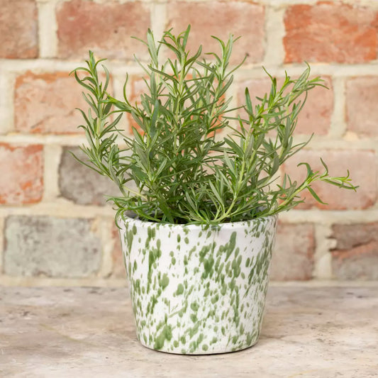 Medium Green Splatter Old Style Dutch Plant Pot
