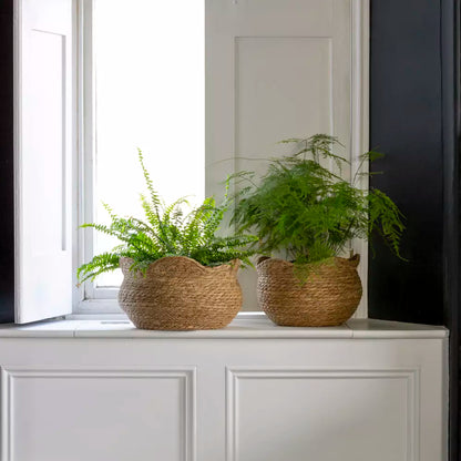 Seagrass Basket Planter Shallow Frill Edge Large