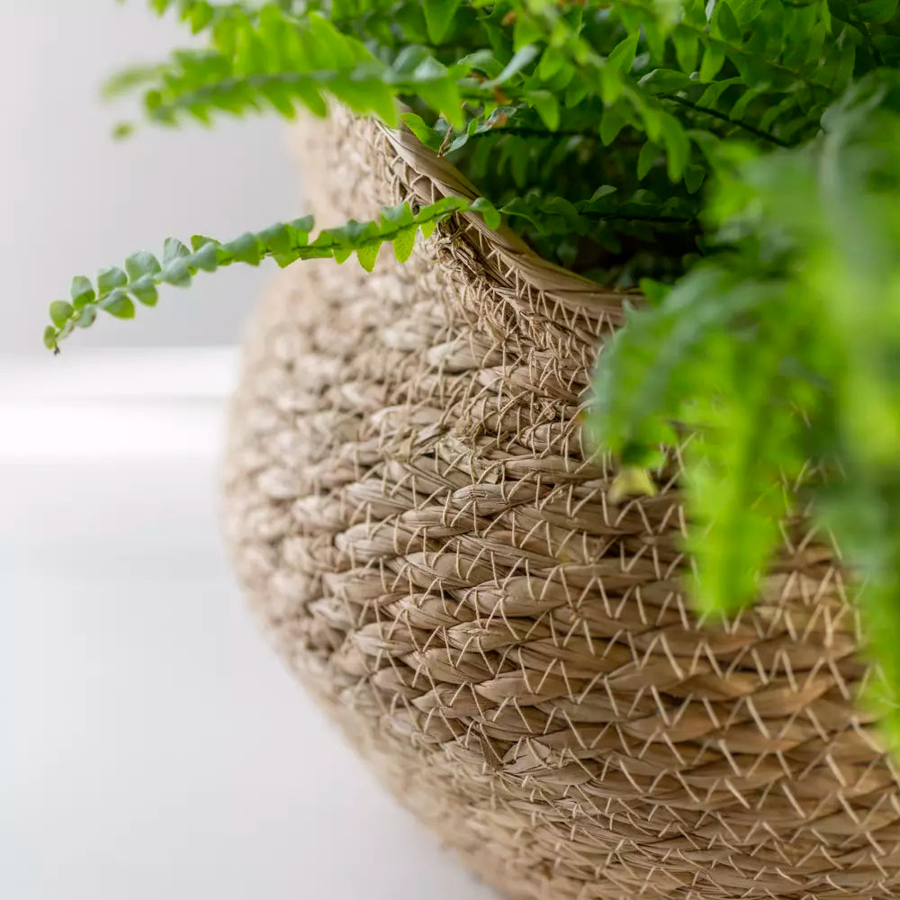 Seagrass Basket Planter Shallow Frill Edge Large