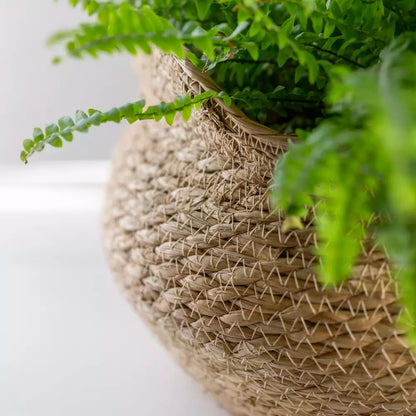 Seagrass Basket Planter Shallow Frill Edge Large