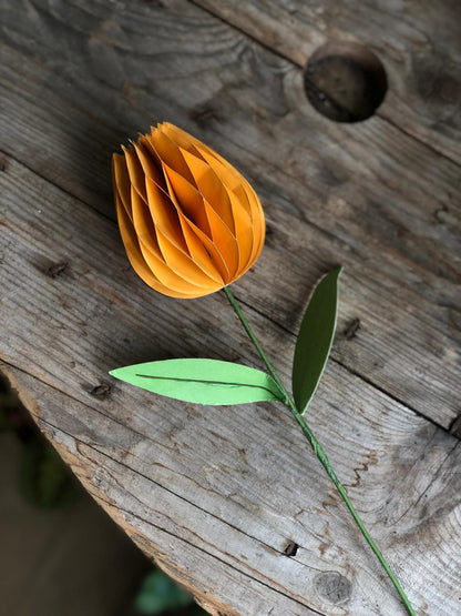 Honeycomb Paper Tulip Spring Flower Decorations