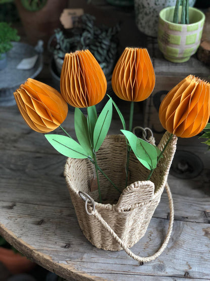 Honeycomb Paper Tulip Spring Flower Decorations