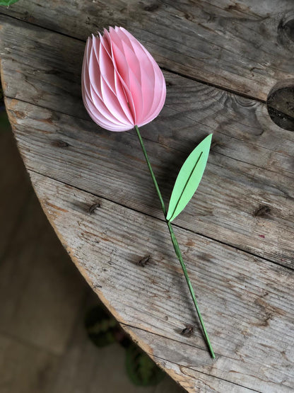 Honeycomb Paper Tulip Spring Flower Decorations