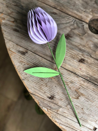 Honeycomb Paper Tulip Spring Flower Decorations