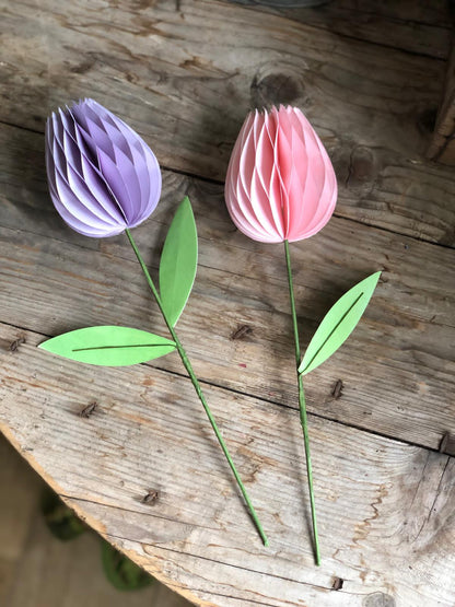 Honeycomb Paper Tulip Spring Flower Decorations