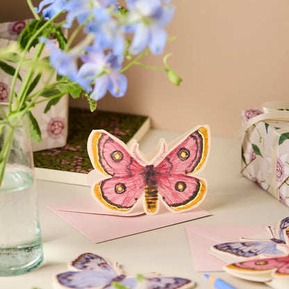 Pink Moth Mini Card