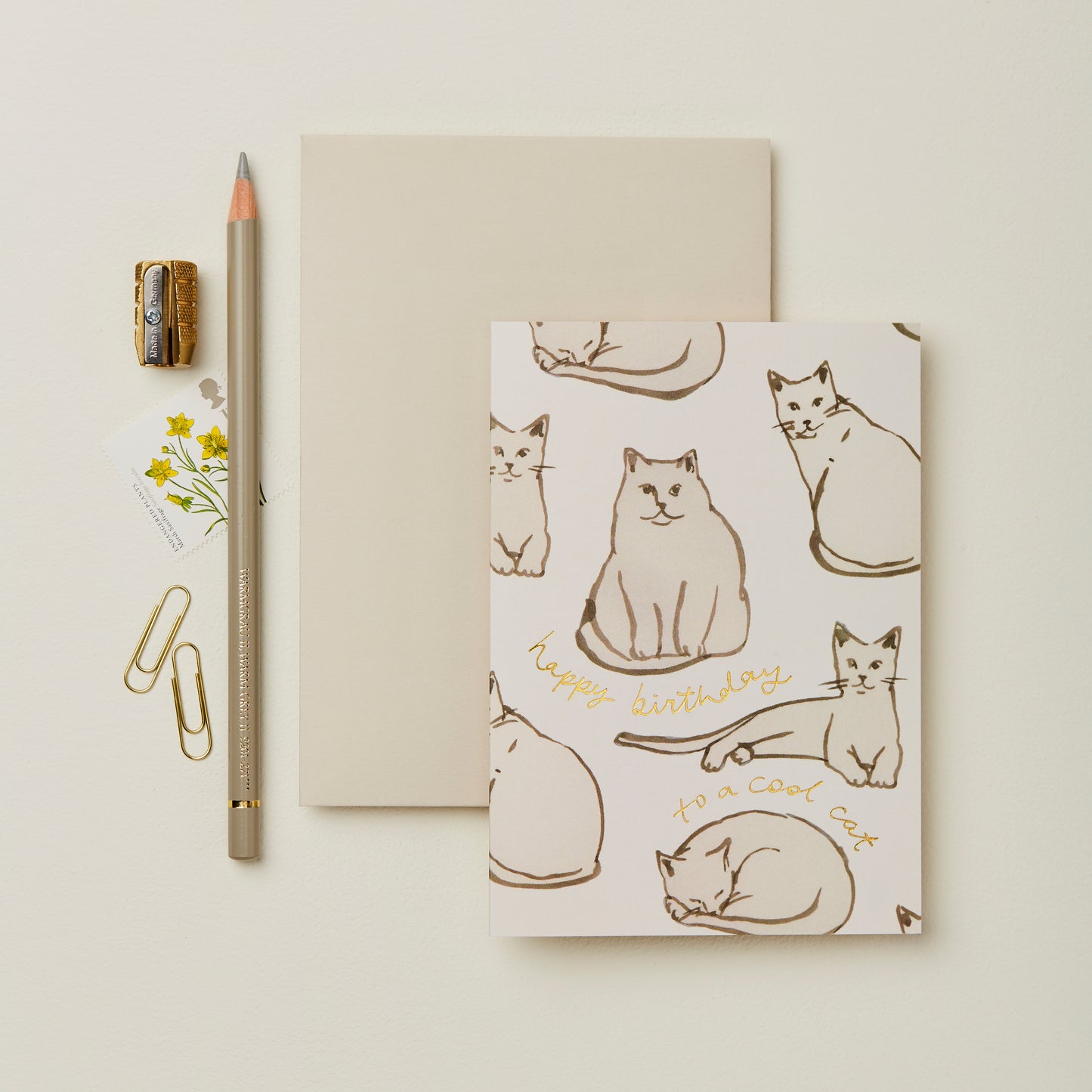 Cool Cats Birthday Card