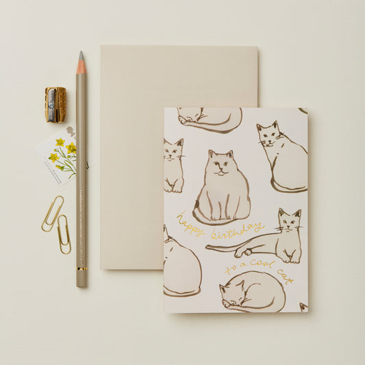 Cool Cats Birthday Card