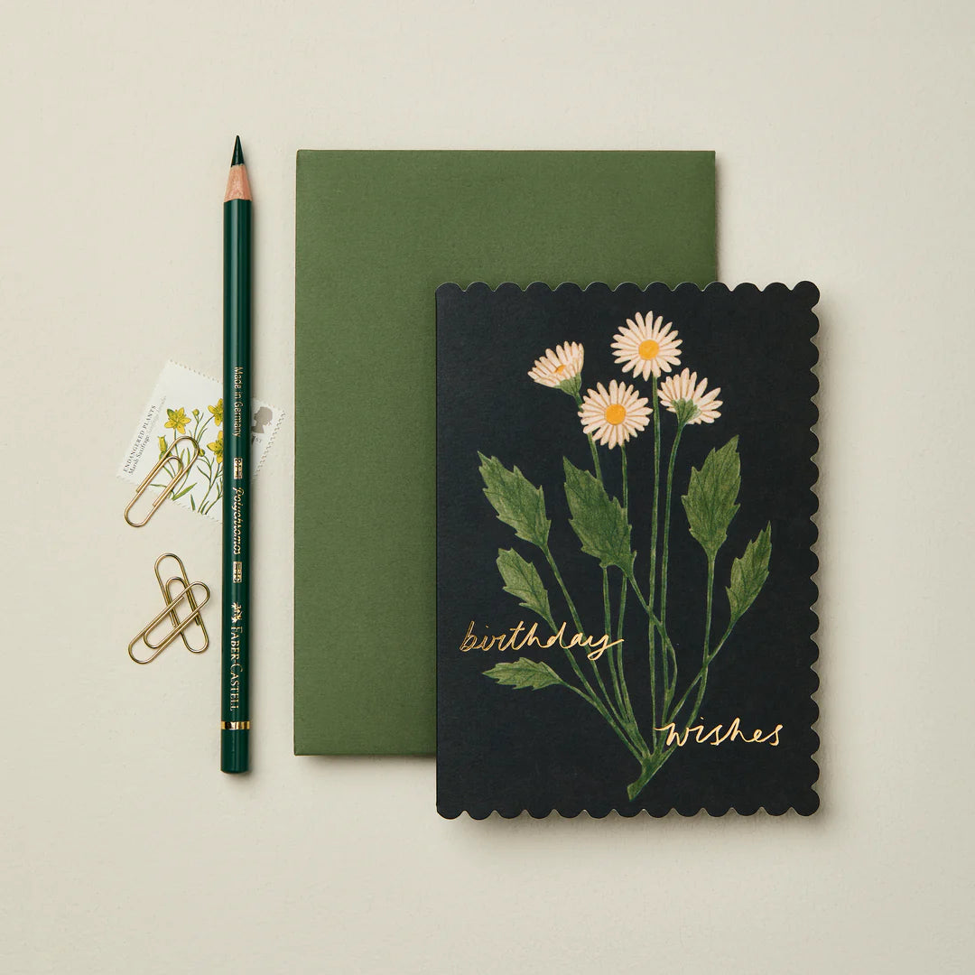 Botanical Daisy Birthday Wishes Card