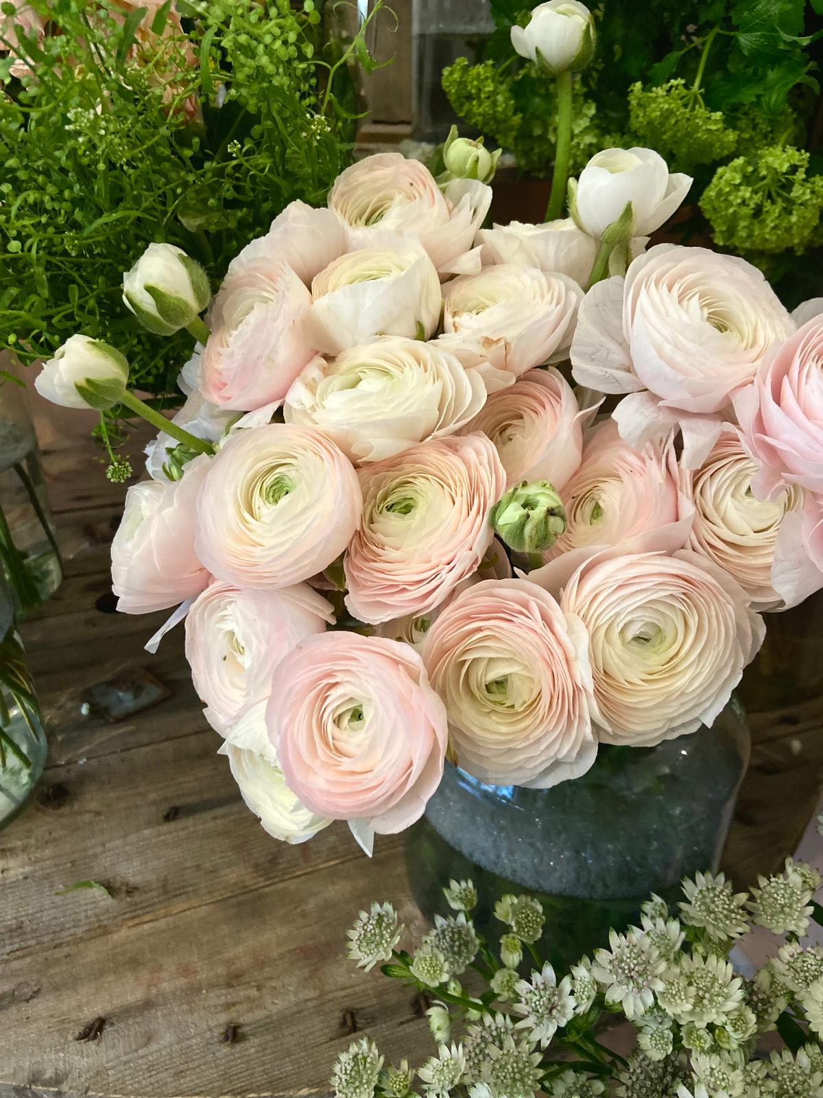 An Armful of Speciality Ranunculus