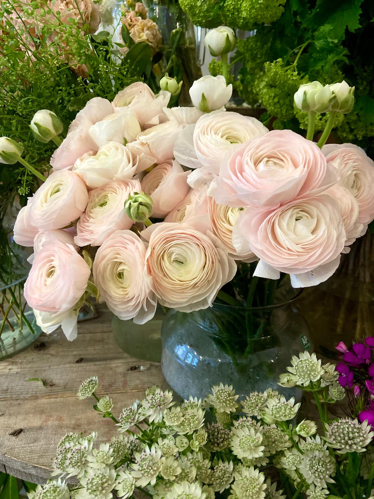 An Armful of Speciality Ranunculus
