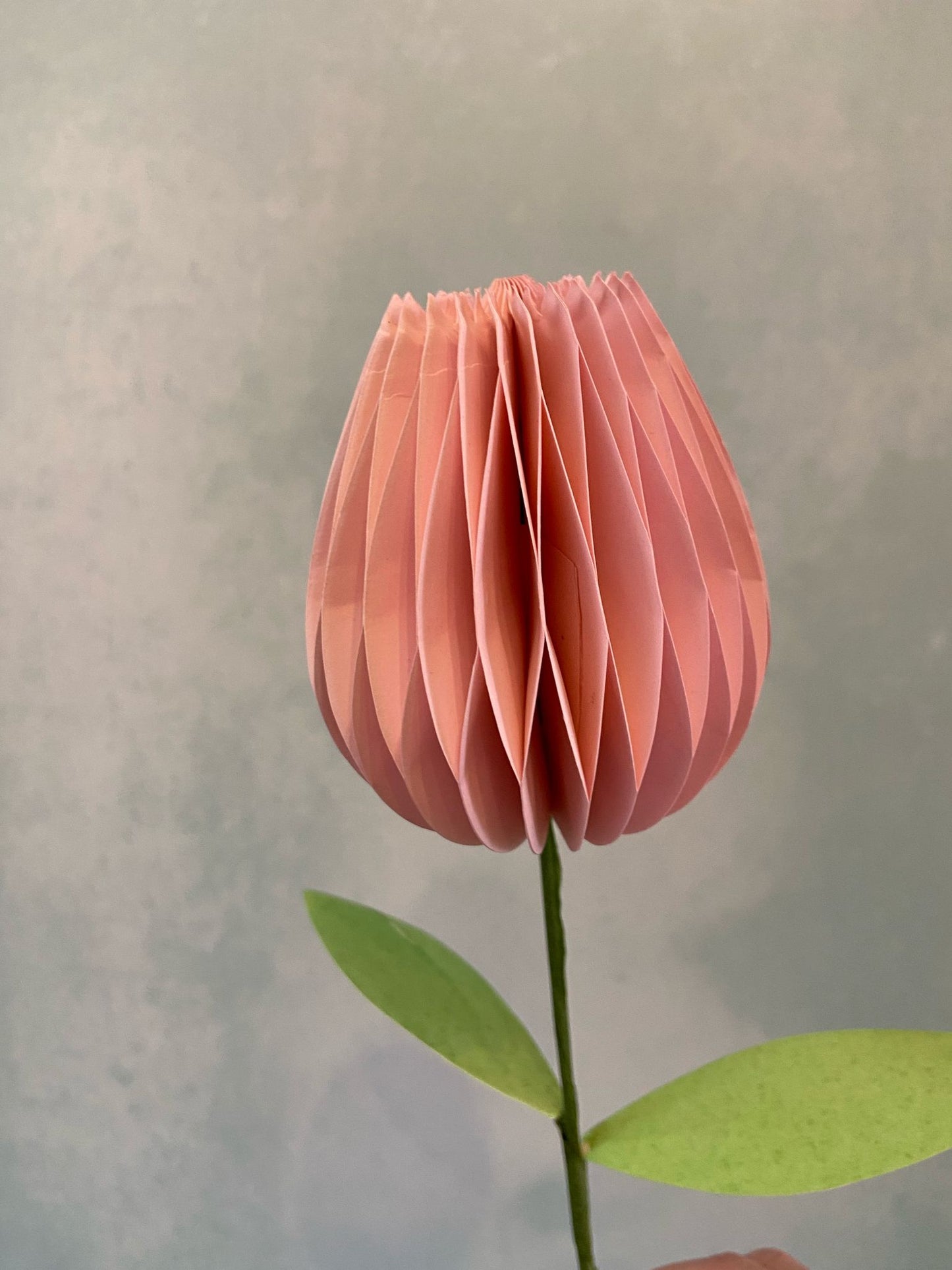 Honeycomb Paper Tulip Spring Flower Decorations