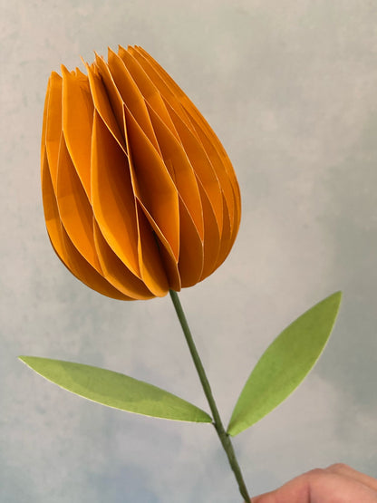 Honeycomb Paper Tulip Spring Flower Decorations