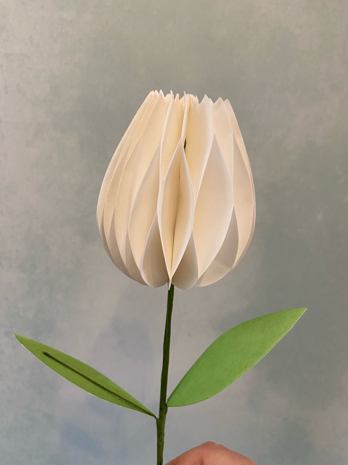 Honeycomb Paper Tulip Spring Flower Decorations