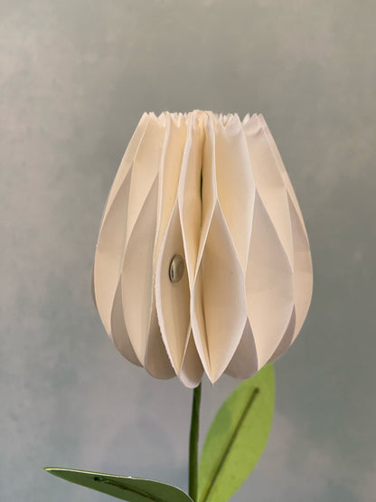 Honeycomb Paper Tulip Spring Flower Decorations