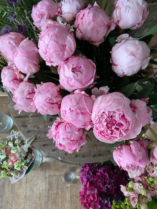 An Armful of Sarah Bernhardt Peonies