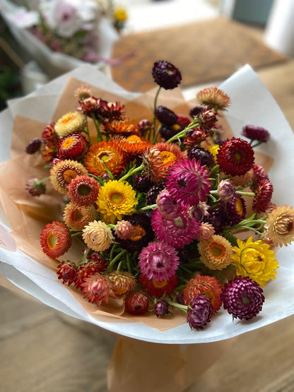 An Armful of Straw Flowers