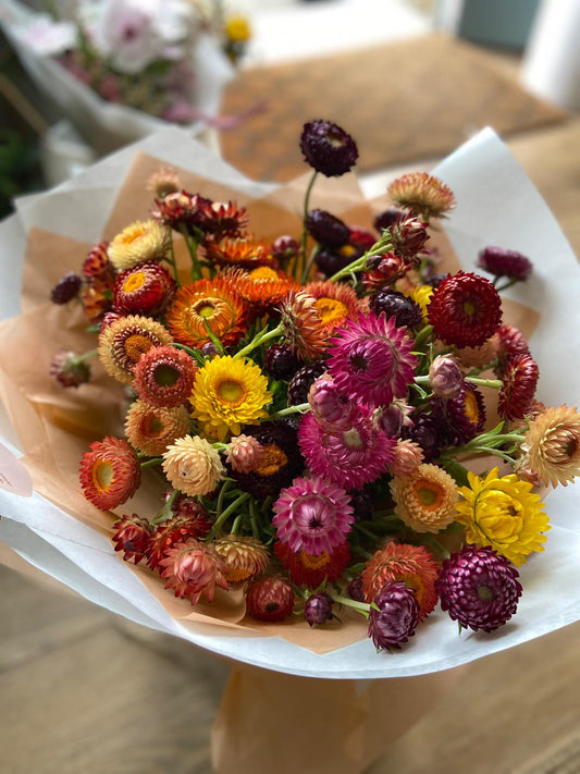 An Armful of Straw Flowers
