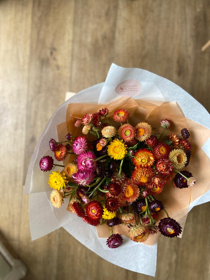 An Armful of Straw Flowers