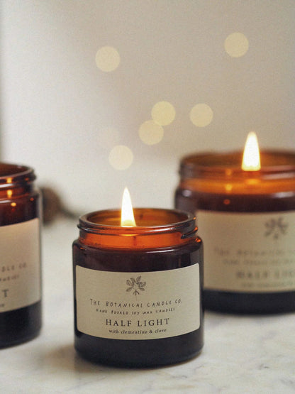 The Winter Light Collection - Luxury Botanical Scented Candles