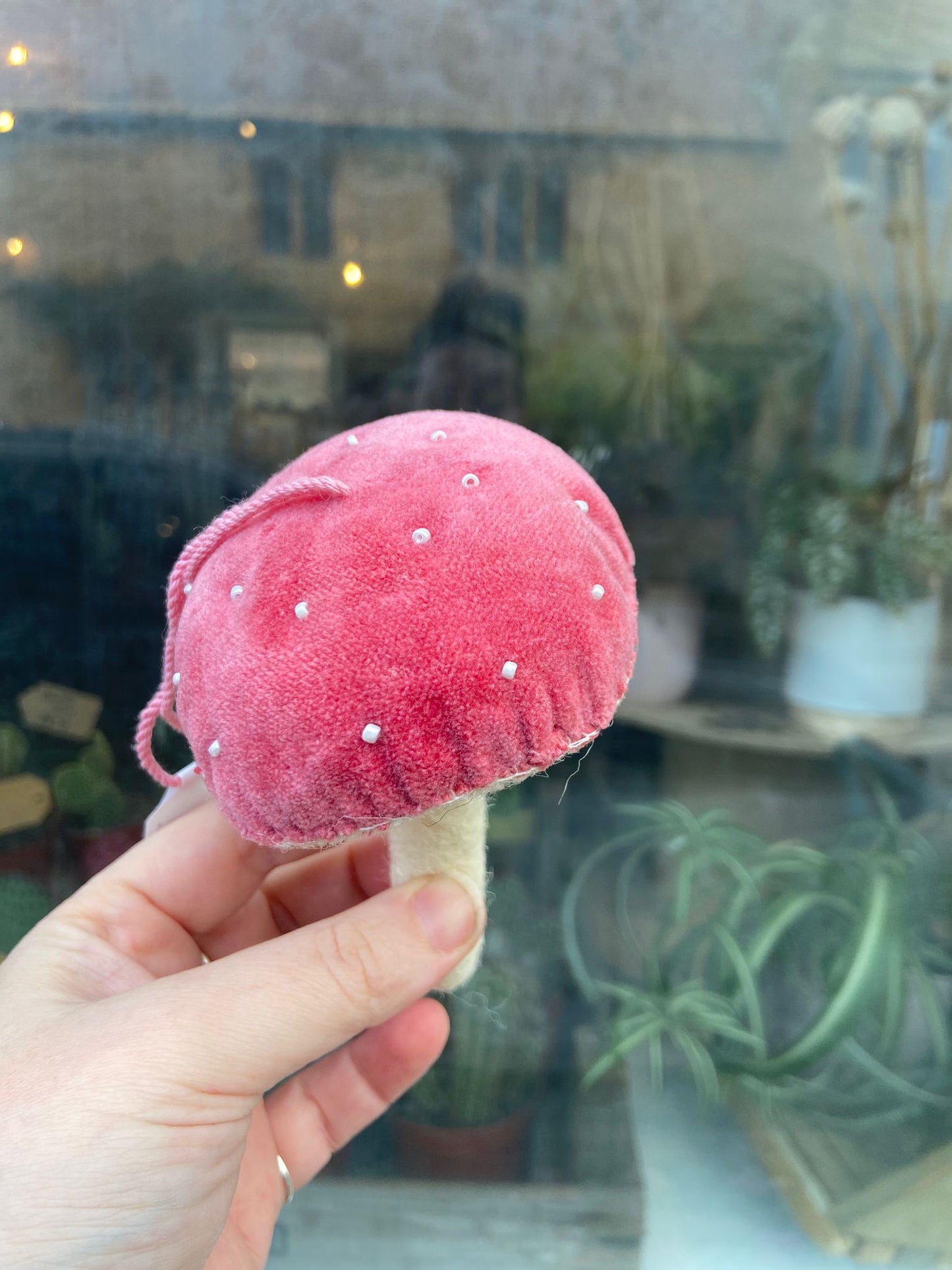Mixed Red Velvet Mushroom Decs