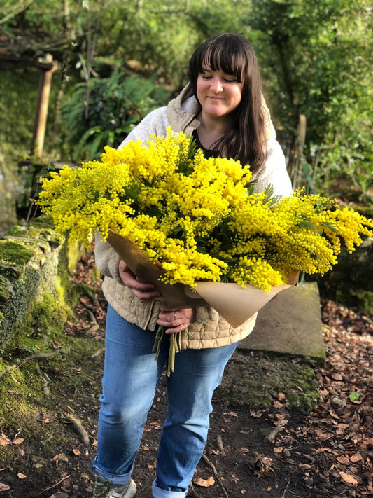 An Armful of MIMOSA