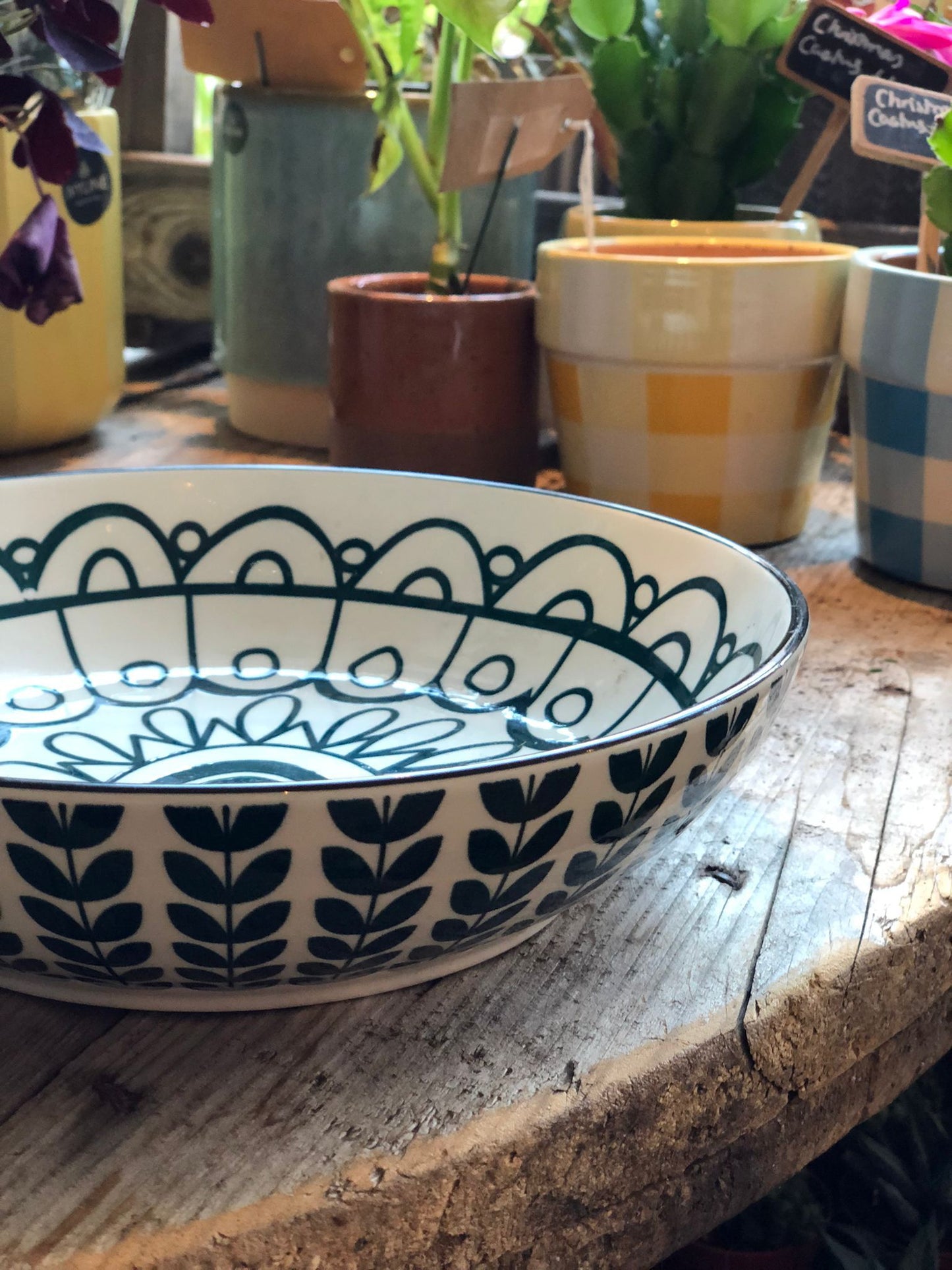 Ceramic Pasta Bowl