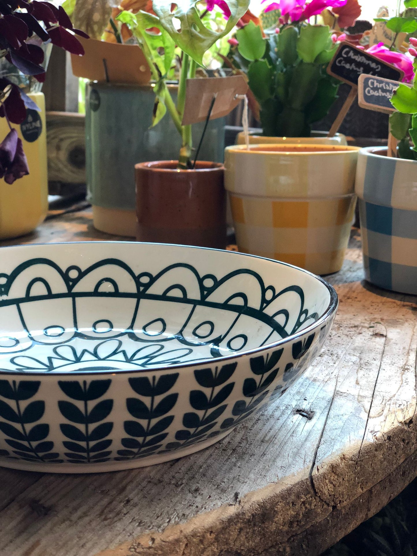 Ceramic Pasta Bowl