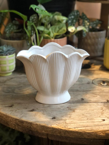 White Shell Shaped Ceramic Vase