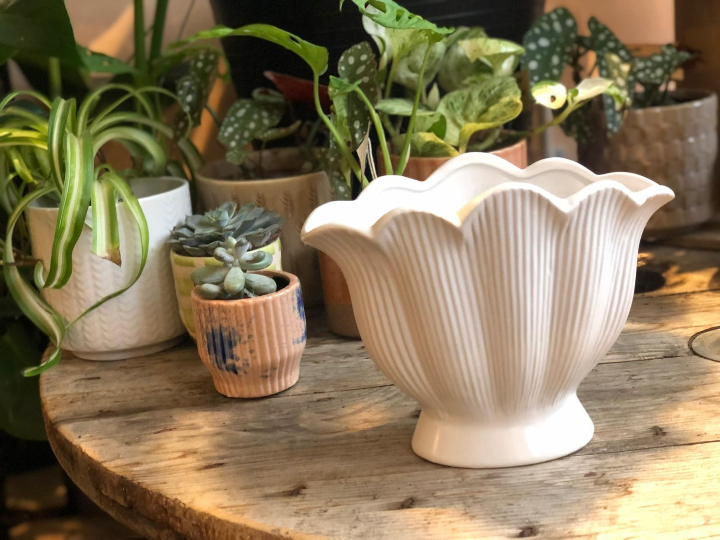 White Shell Shaped Ceramic Vase