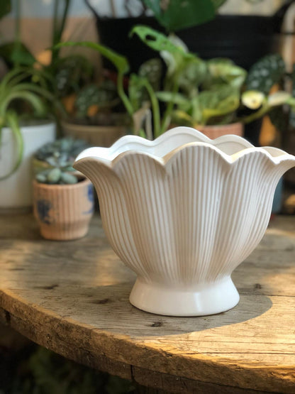 White Shell Shaped Ceramic Vase