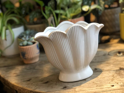 White Shell Shaped Ceramic Vase