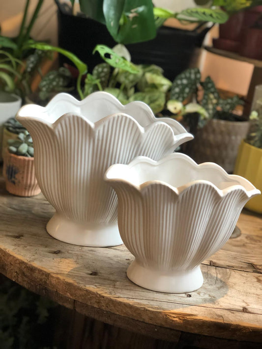 White Shell Shaped Ceramic Vase
