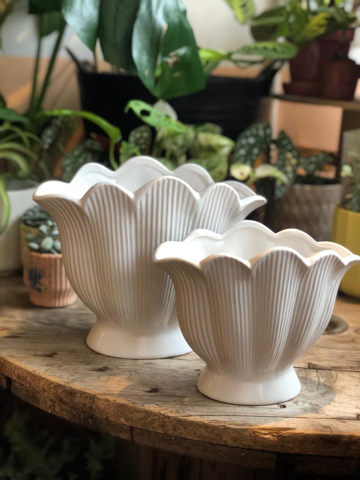 White Shell Shaped Ceramic Vase
