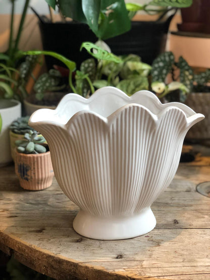 White Shell Shaped Ceramic Vase